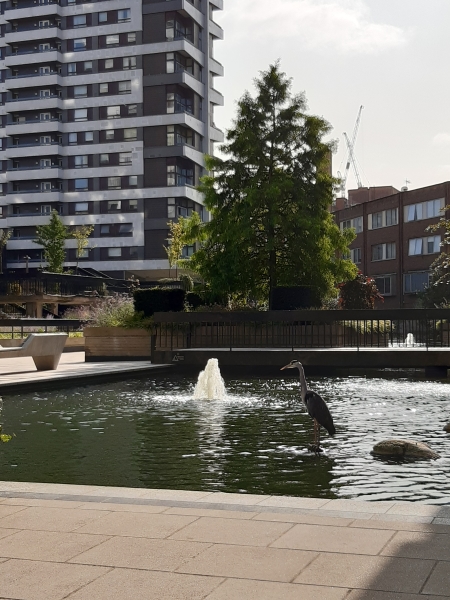 The Water Gardens